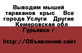 Выводим мышей ,тараканов, крыс. - Все города Услуги » Другие   . Кемеровская обл.,Гурьевск г.